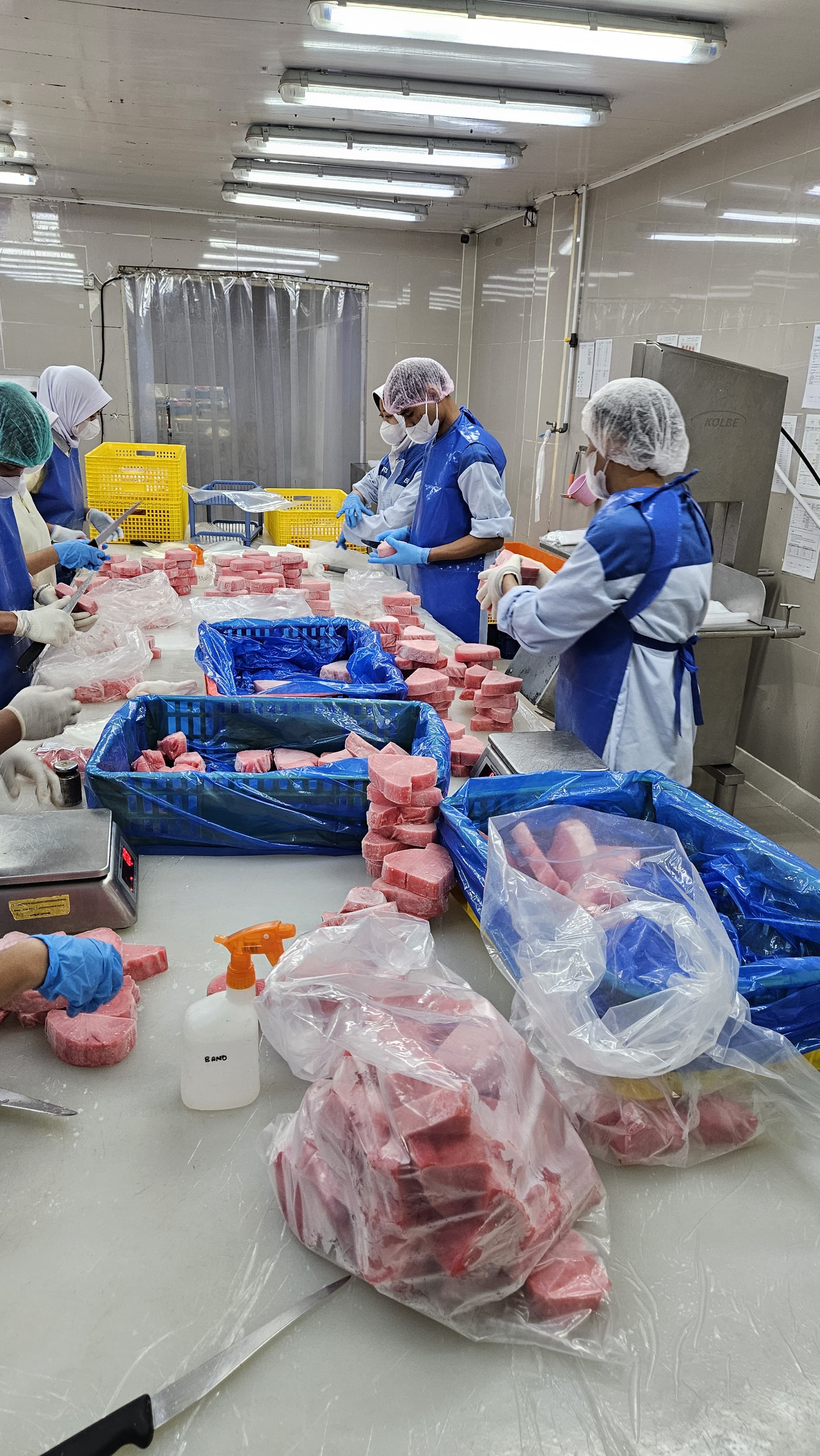 Sistem Rantai Dingin (Cold Chain)