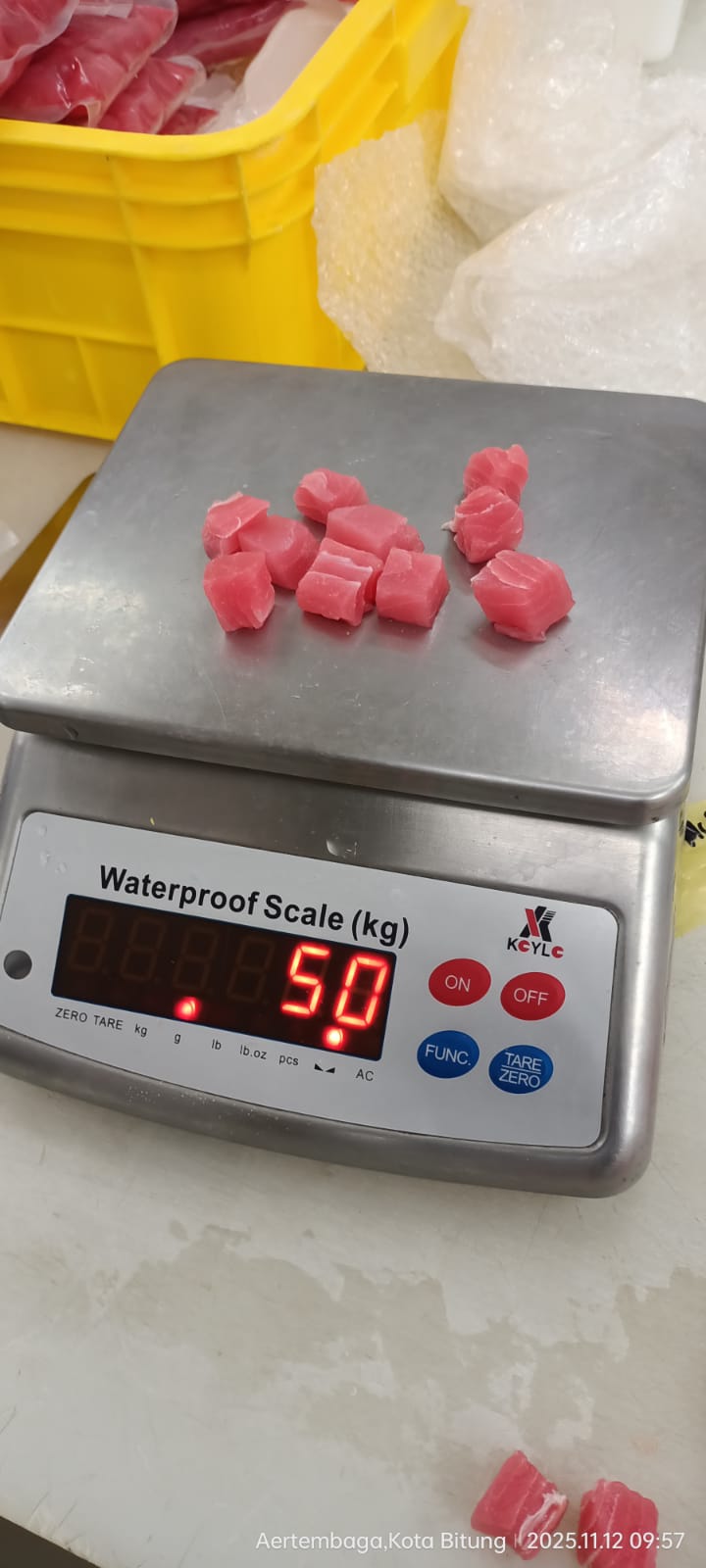 Varian Produk Tuna 1