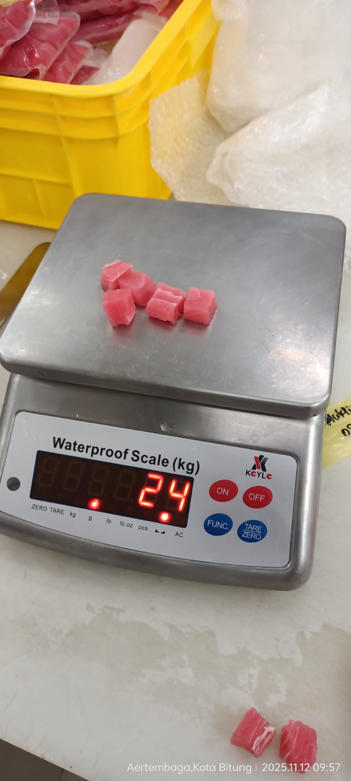 Varian Produk Tuna 2